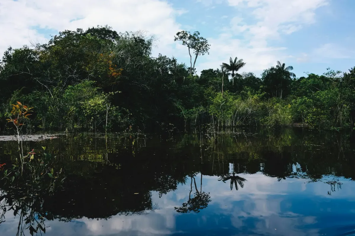 Manaus, Brazil