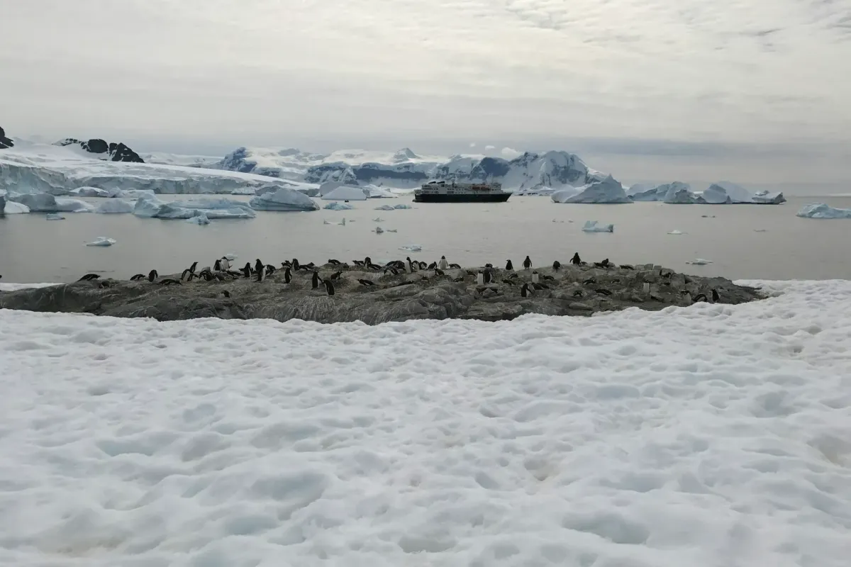 King George Island, Antarctica