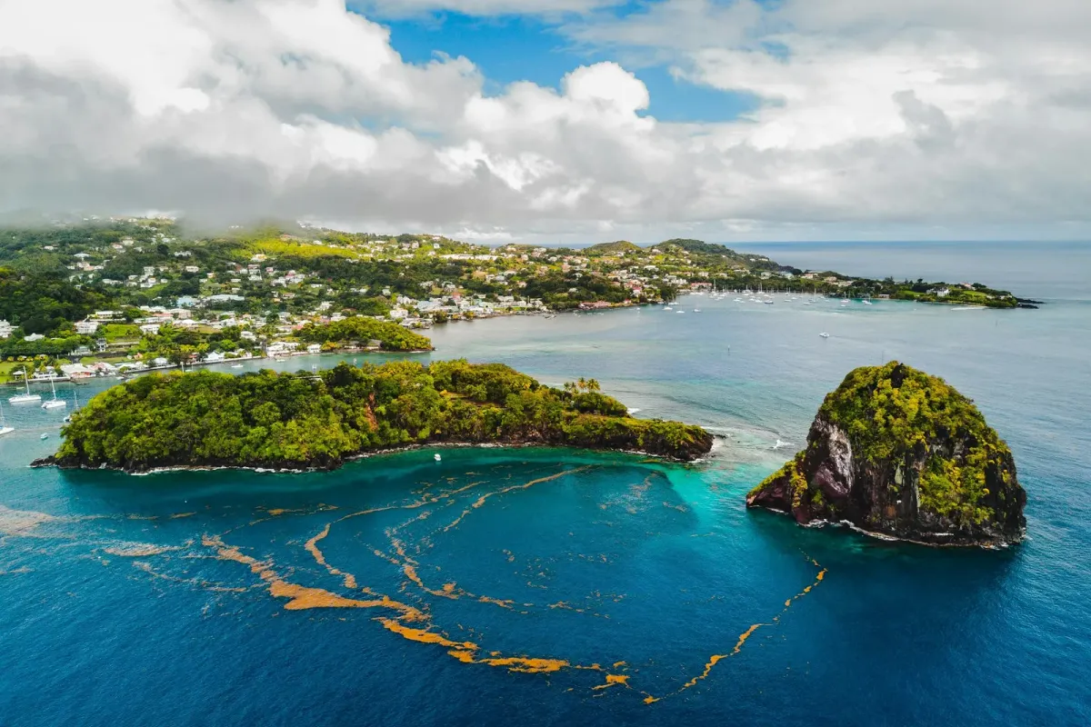 St. Vincent & The Grenadines, Lesser Antilles