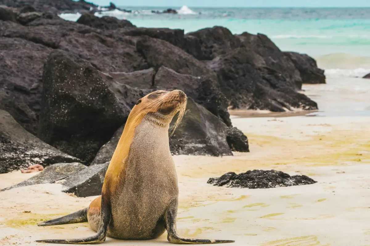 Galapagos Islands, Ecuador