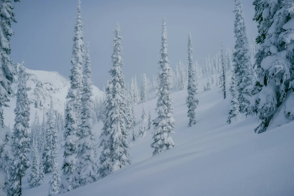 Revelstoke, British Columbia