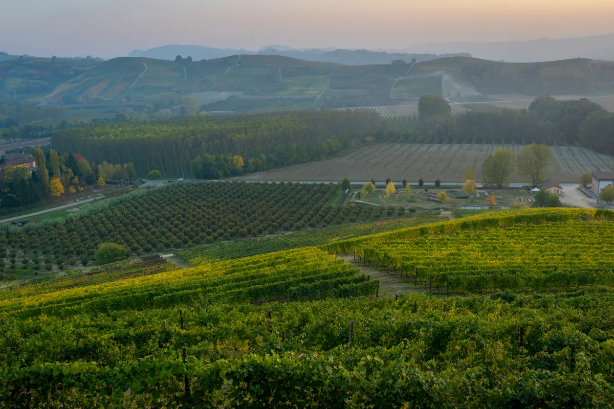 Barolo, Italy