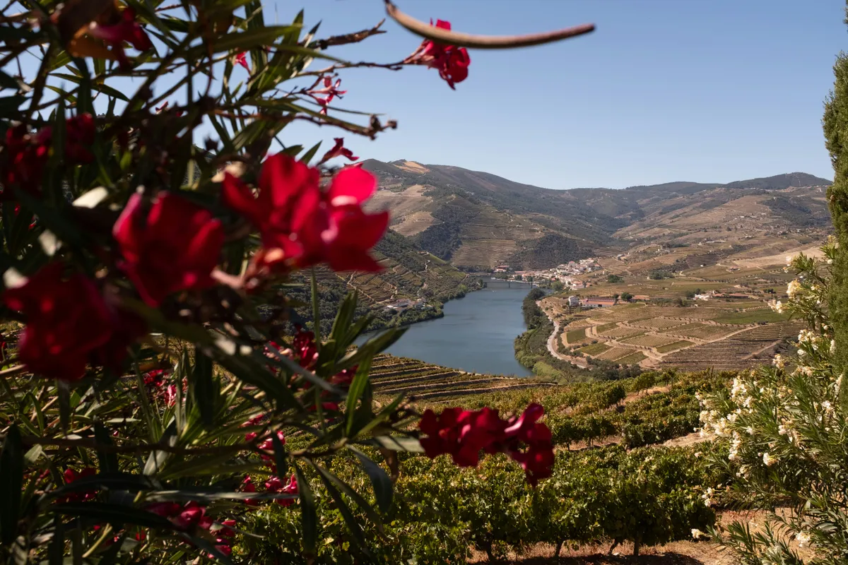 Douro Valley, Portugal