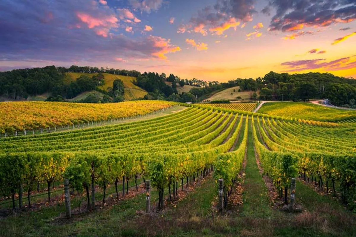 Barossa Valley, Australia