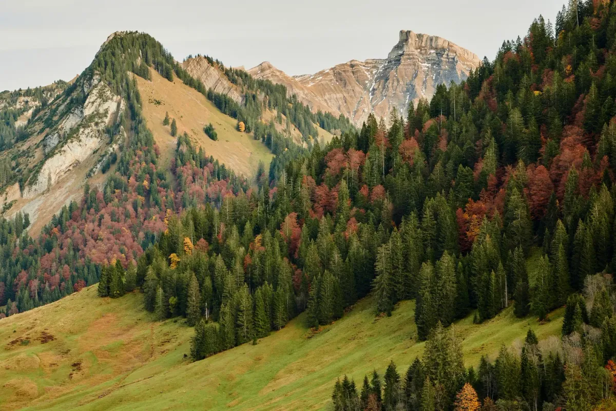 Lech, Austria