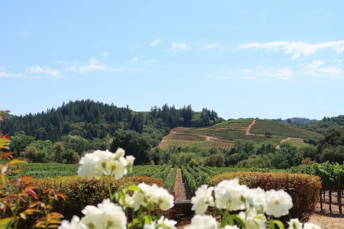 Napa Valley, California