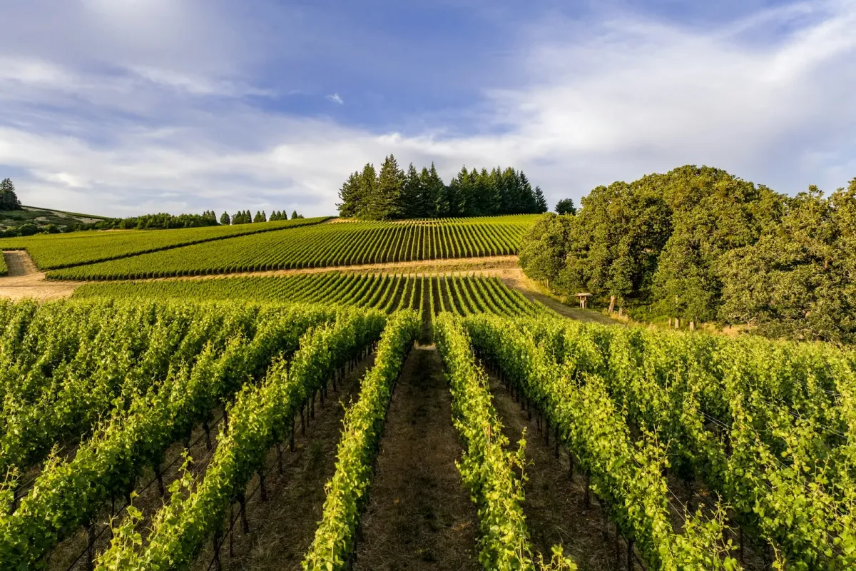 Willamette Valley, Oregon